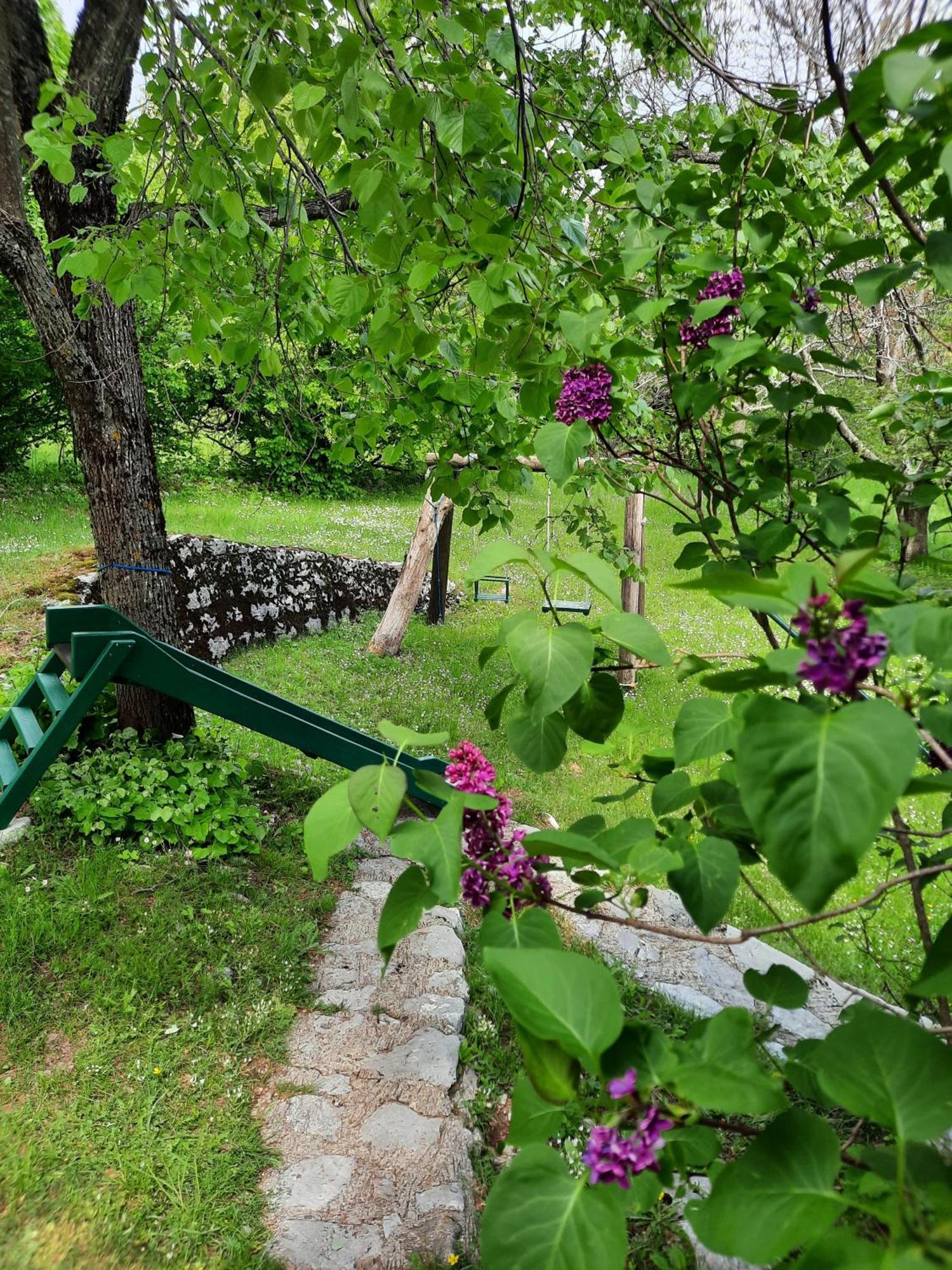 Lovcen4Me Villa Cetinje Exterior foto